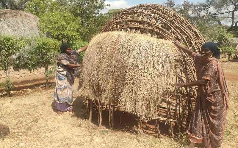 From experiment to huge earnings: Borana traditional huts that net income for locals