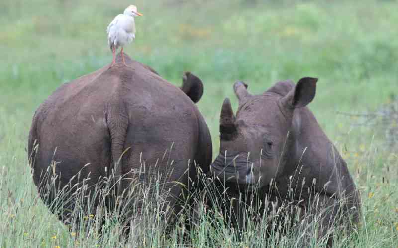 State renews plan to raise wildlife park fees after four failed attempts