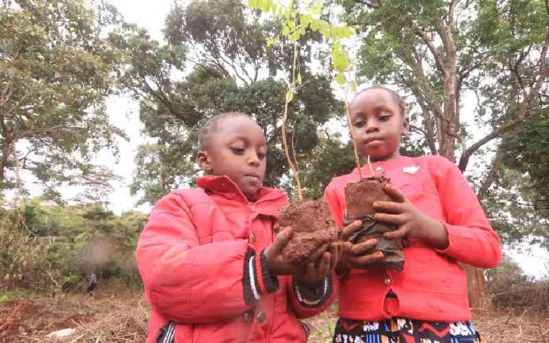 Nema, Nacada lead tree planting initiative in Nairobi