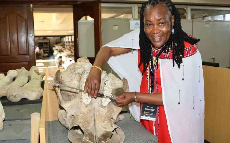 Kenya hosts meeting on elephants and climate