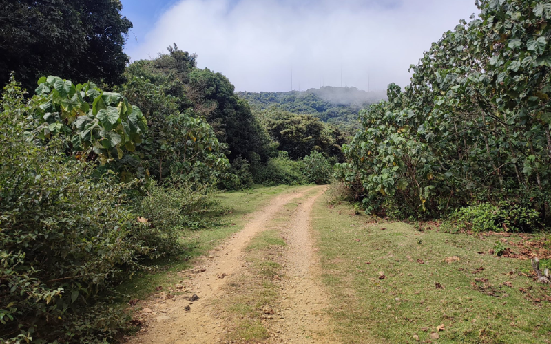 How scenic Nyambene hills became a cattle rustlers' paradise, hell for locals