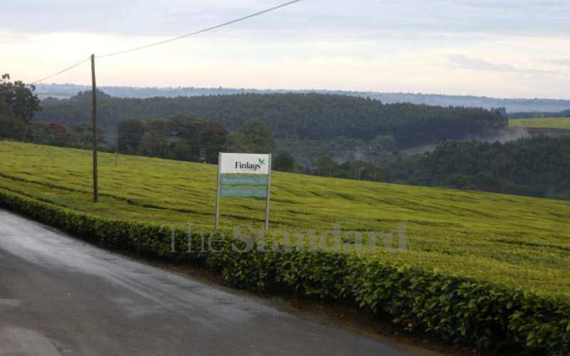 UK court orders tea giant James Finlay to withdraw Kenya case