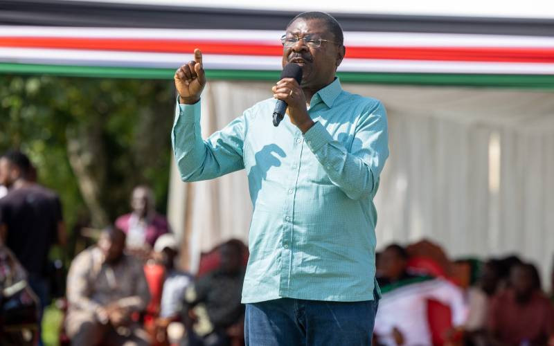 Western region MPs rally behind Wetang'ula as Ruto's preferred successor
