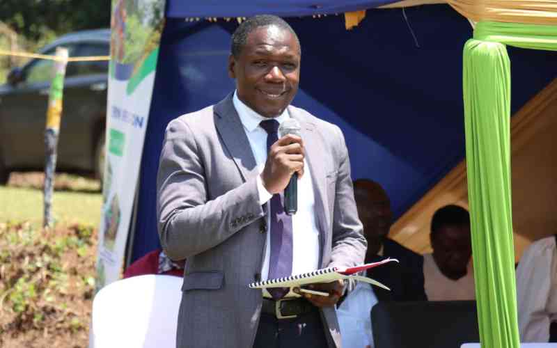 Organisations turn to homegrown sustainability plans as donor funding shrinks