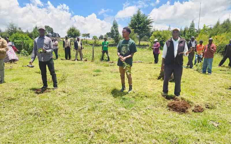 Kenya becomes first African country to secure Sh90.6m for climate action