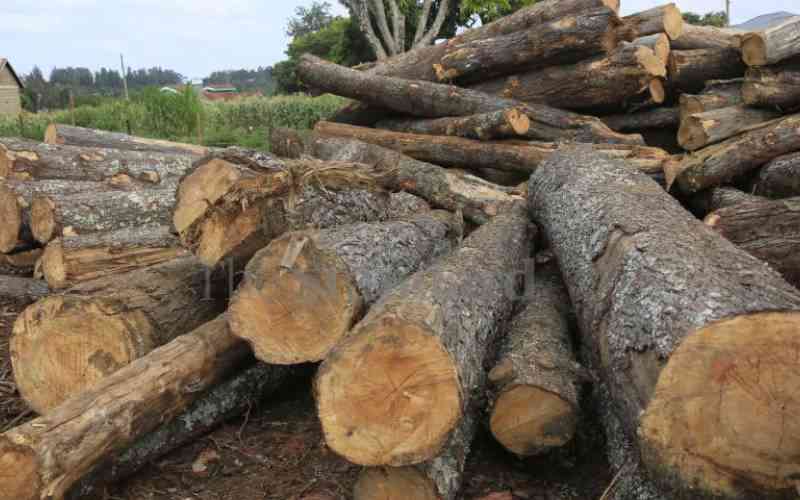 Timber dealers now cry foul over logging permits