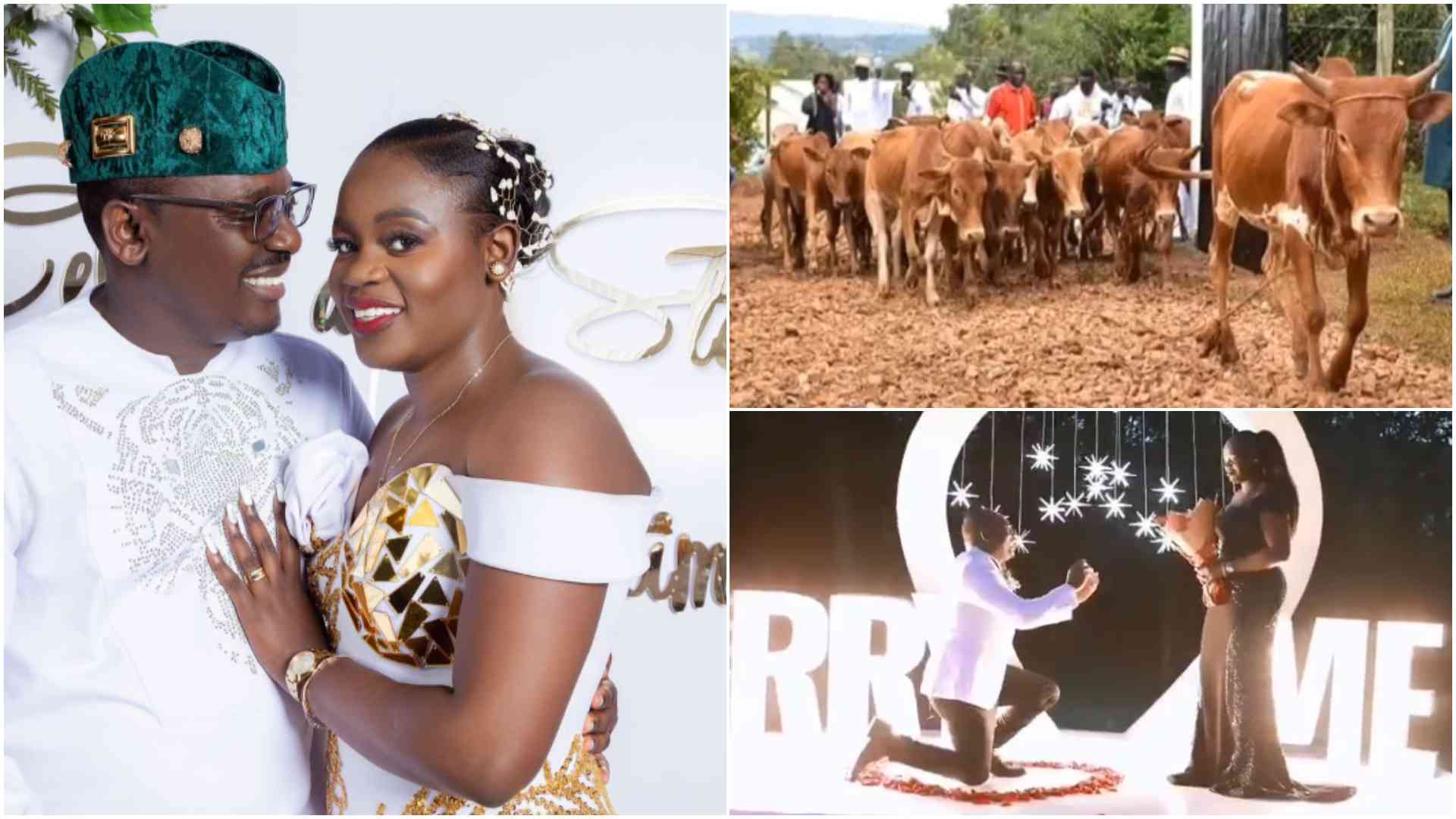 When love, cows and laws collide: Ogolla, Cebbie dowry drama stirs cultural storm