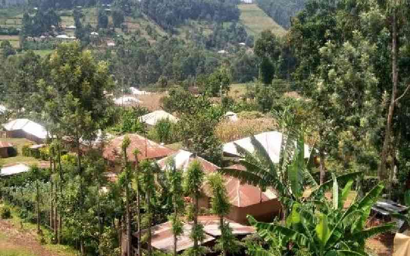 Ticking time bomb for land buyers in Kisii as succession forgeries rise