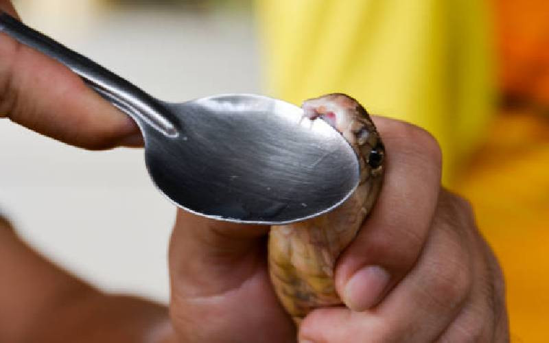 Taita Taveta County mops up 'ineffective' Indian snake anti-venom