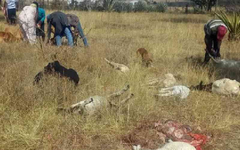 Victims of human-wildlife conflict claim KWS officers demand bribes