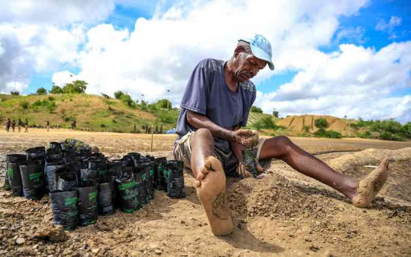 Efforts to restore fragile mangrove coastal ecosystems