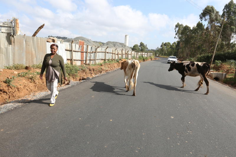 Land prices rise in Kiambu as new roads bring brisk business