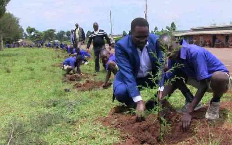 Kericho residents plant trees to mark Father's Day