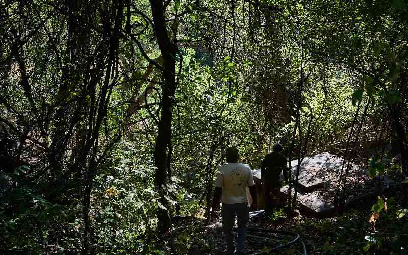 The case of Africa's 'vanishing' carbon deals