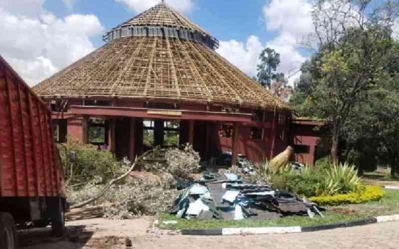 How taxpayers' billions are sinking in shadowy Bomas project