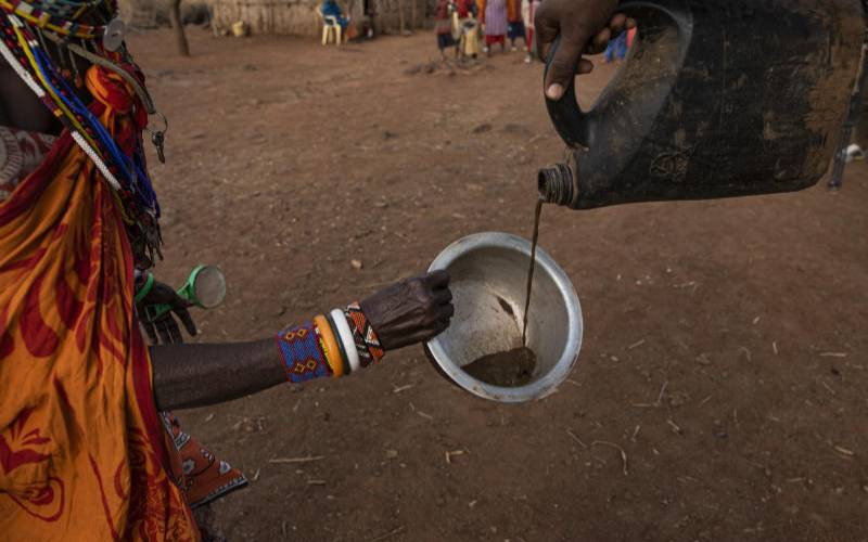 Biting drought exposes West Pokot families to risk of starvation