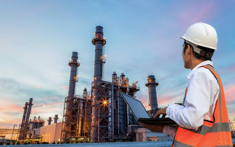 Embracing sustainability: Does it power or retard industrialisation?