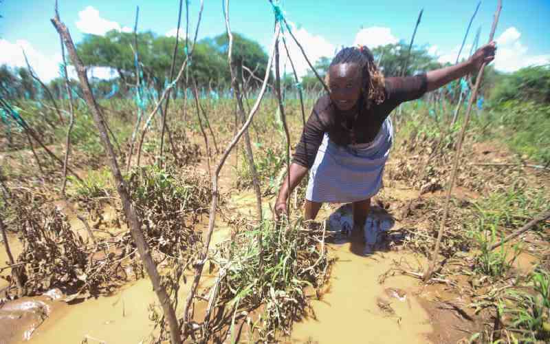 Food crisis looms as farmers warn of total crop failure