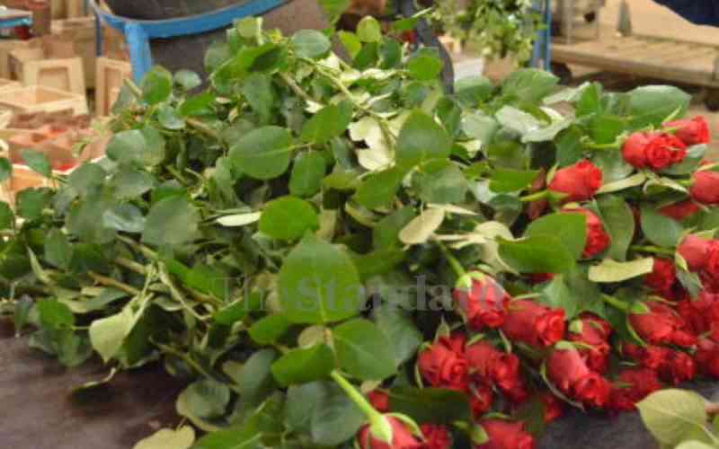Staff concerned over closure of flower farms