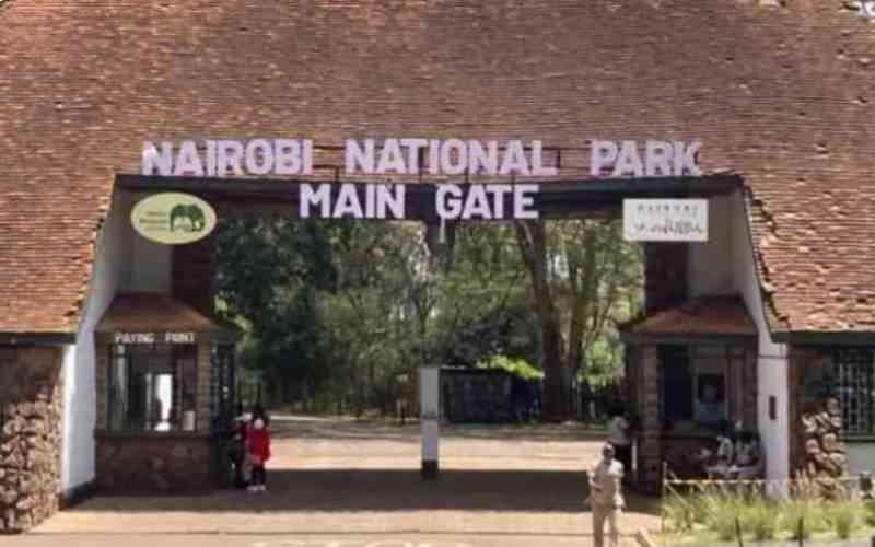 Planning a safari? Here is the official KWS guide for park visitors