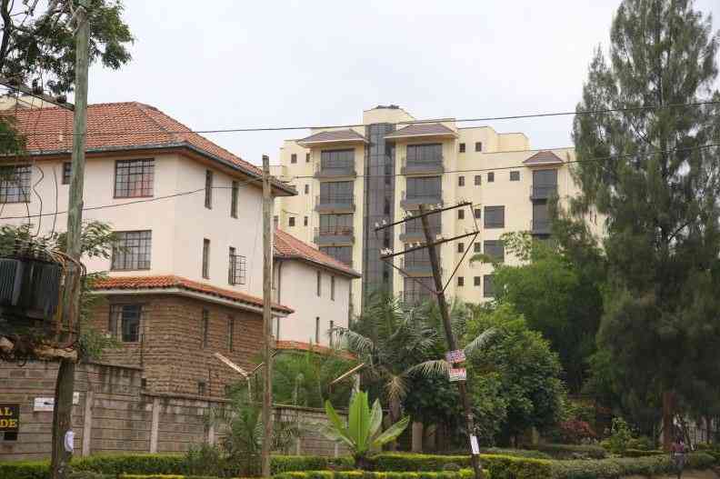 Why Nairobi is slowly turning into an 'economic rainforest'