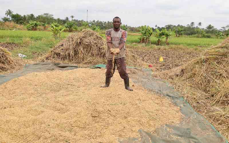 Humanitarian groups call for shift to climate-smart farming to combat food insecurity