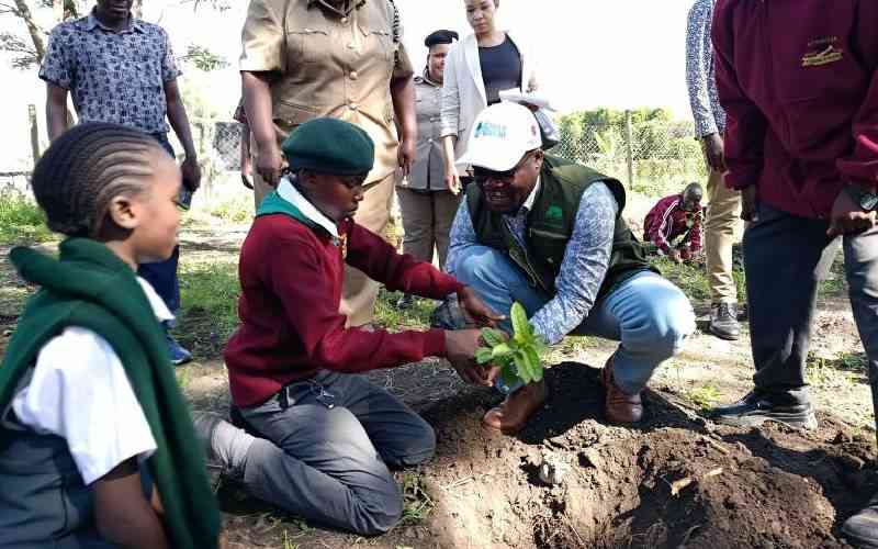 State plans to grow forest sector by Sh137 billion