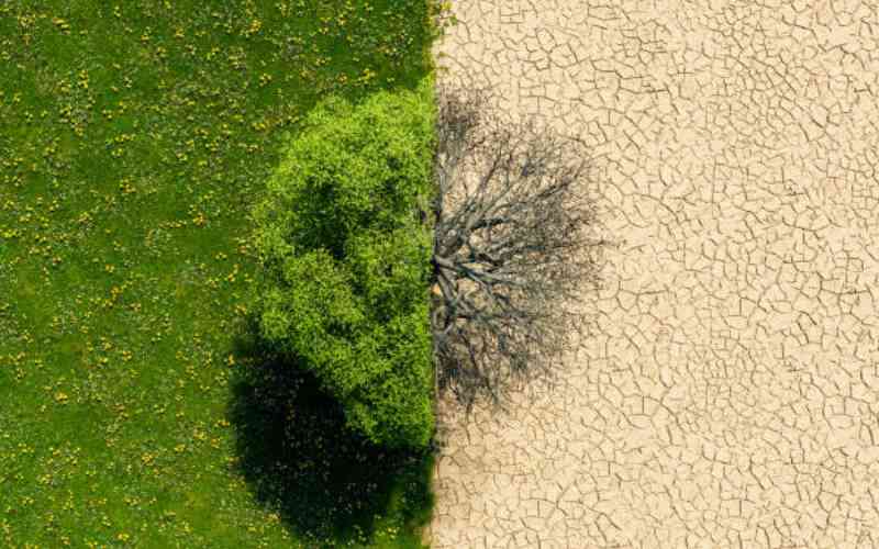 EAC targets climate-driven losses with new 10-year regional plan