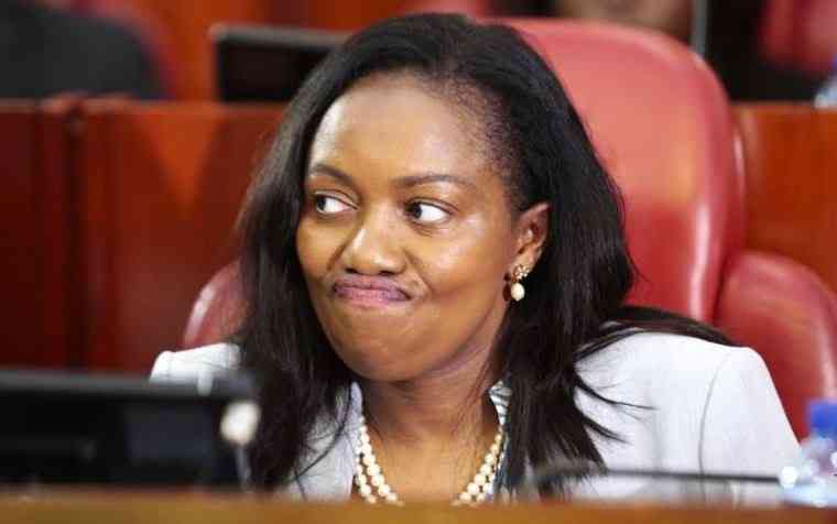 Governor Kihika and Senator Keroche clash during Senate Committee meeting