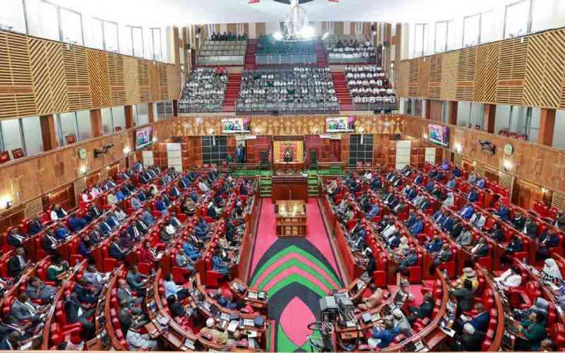 MPs raise concerns over rising ethnic profiling