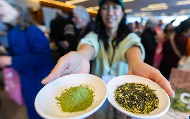 China's tea festival showcases poverty-fighting model for Kenyan farmers