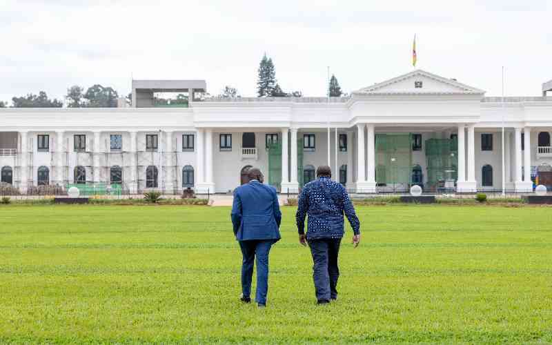 Two term? William Ruto's plan to split opposition and retain power in 2027