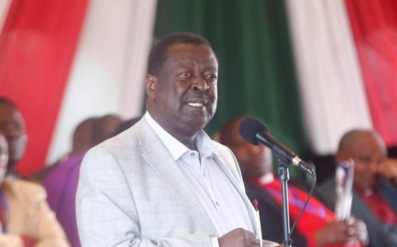 Mudavadi lobbies for African leaders to safeguard robust political systems