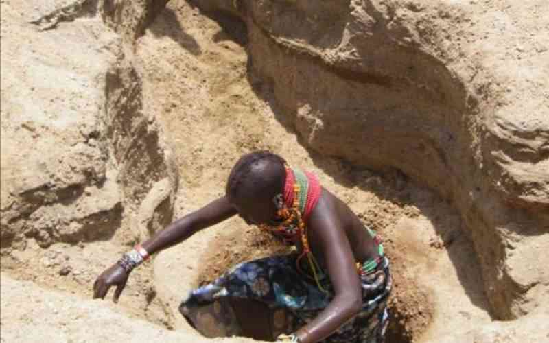 Africa's drylands need right support  listening to herders who live there