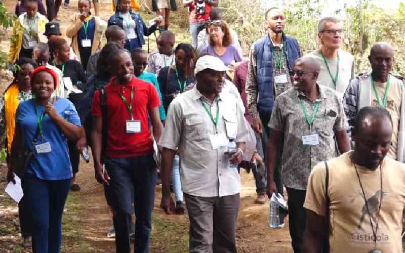 Youth turn to planting trees as income venture