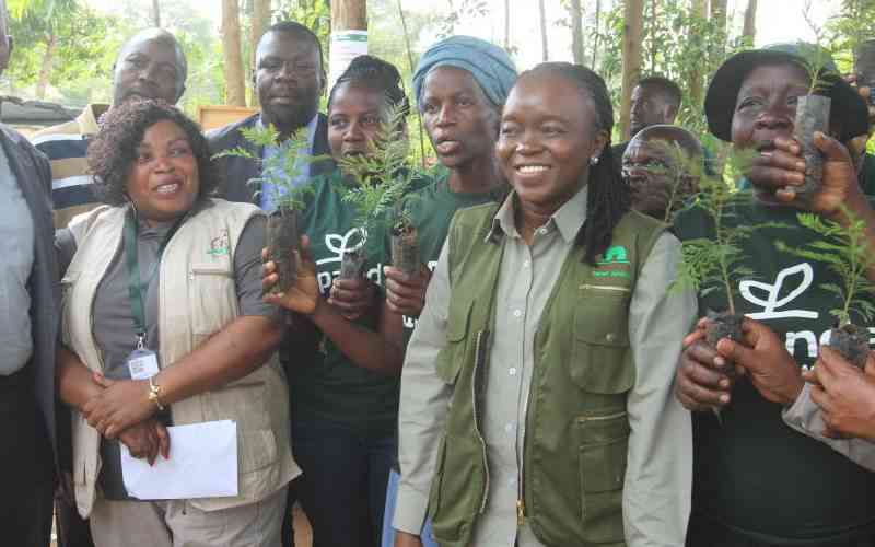 Kenya launches national carbon registry to boost transparency