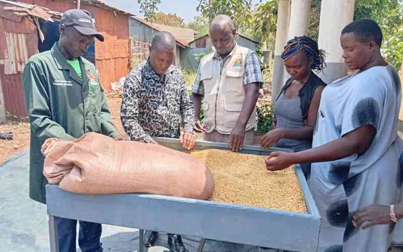 Relief to 6000 farmers as soya bean production intensifies