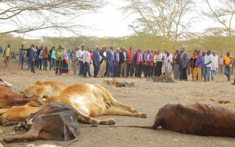 What you need to know about Kenya's drought