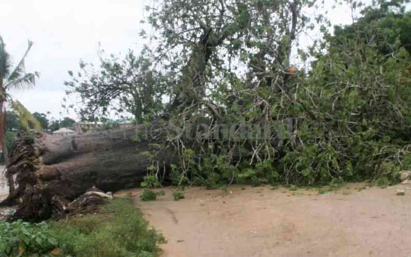 Farmers county losses after rains destroyed their crops