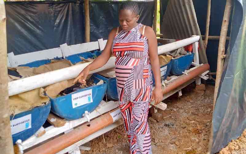 The worms turning food scraps into fertiliser