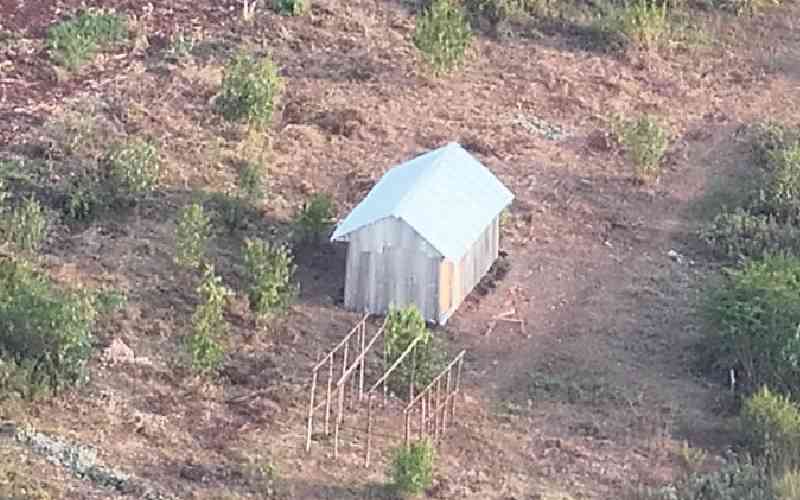 How educated women are leading Kenya's quiet land ownership revolution