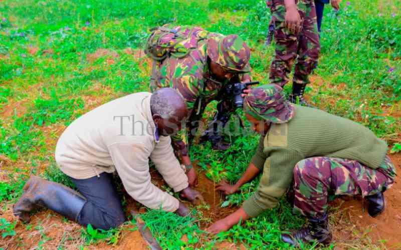 National tree planting drive on course