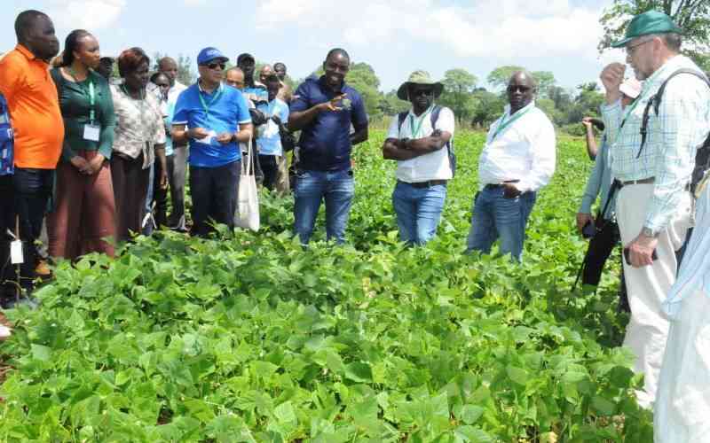Agriculture sector bounces back after two years of contraction