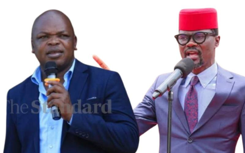 Infotrak: Didmus Barasa, Majimbo Kalasinga emerge as best performing Western MPs