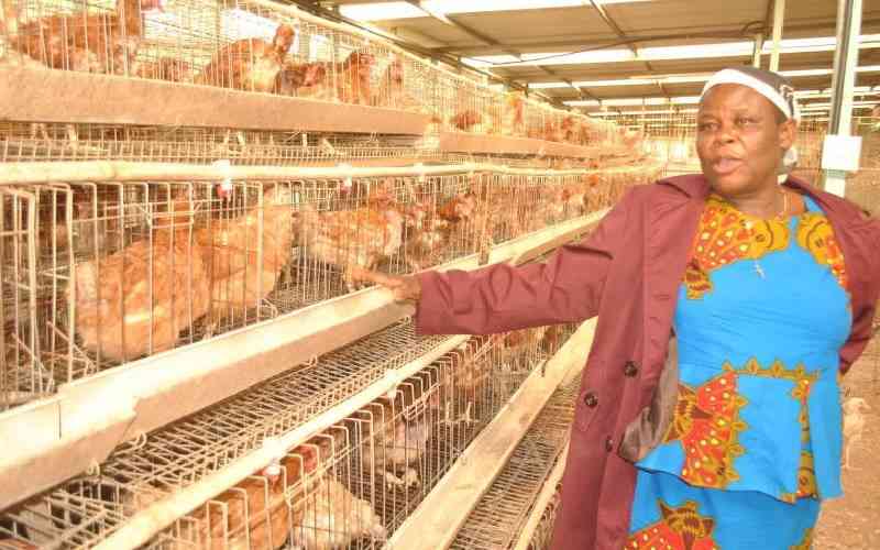 Hygiene: The key to poultry profitability