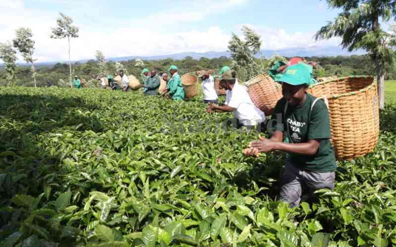 Push to waive taxes on tea processing kits