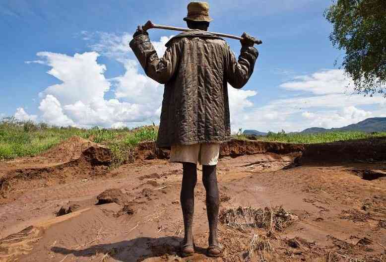 How Kenya is losing Sh170bn annually to soil degradation