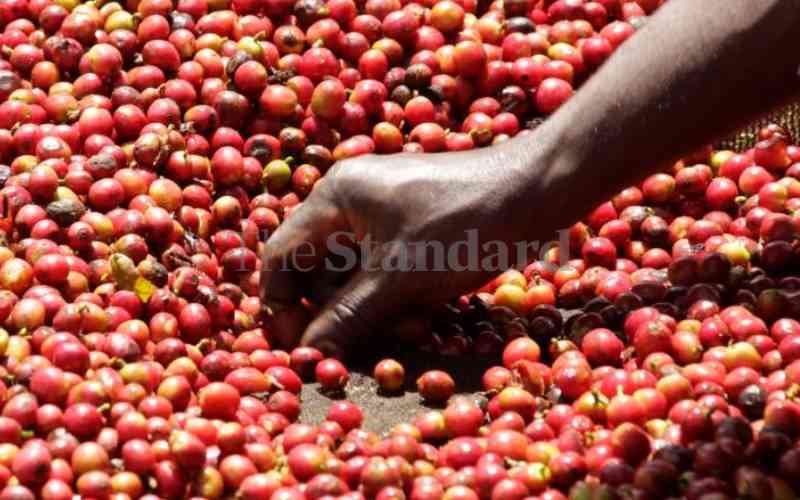 Assembly committee to push for revival of coffee mill in Machakos