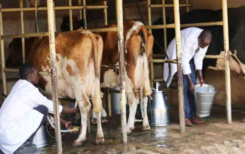 Reliance on rain-fed agriculture is increasingly untenable.