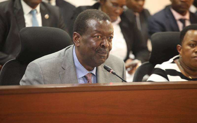 There's no crisis between Kenya and US, says Mudavadi